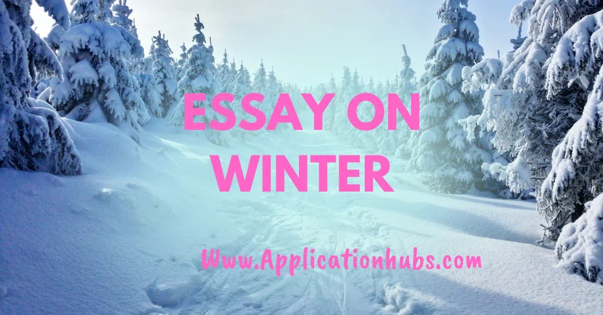 600+ Words Of Essay On Winter In English
